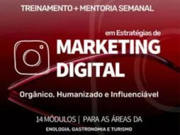 Imagem Treinamento Completo com Mentoria Semanal em Estratégias de Marketing Digital para Redes Sociais nas áreas da Enologia, Gastronomia e Turismo